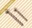 Picture of MM Bolt 10mmx125mm