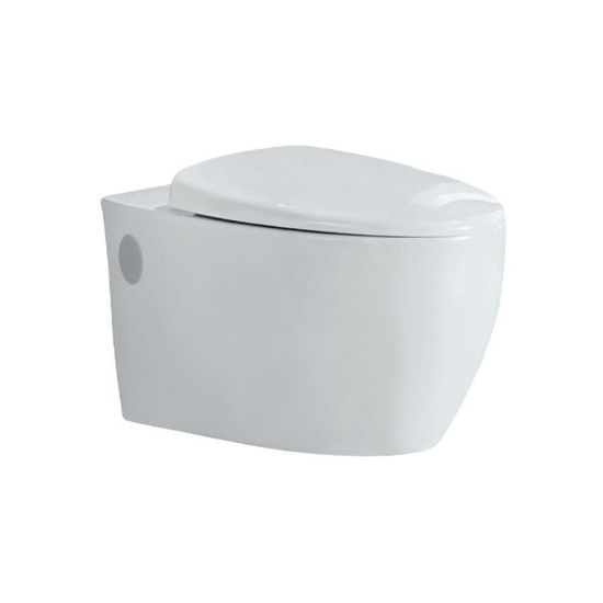 Rimless Wall Hung WC Online Hardware Store in Nepal Buy