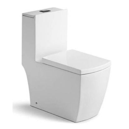 Picture of Beira Single Piece Commode-300mm S-Trap
