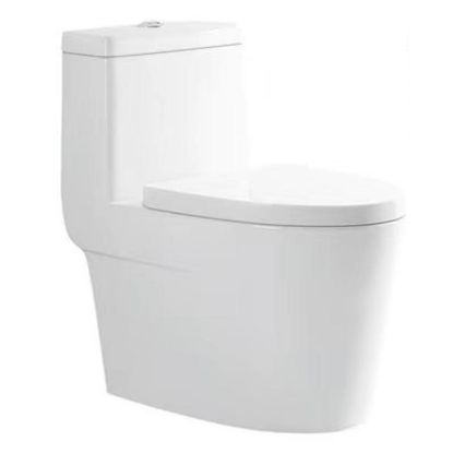 Picture of Duro Single Piece Commode-300mm S-Trap