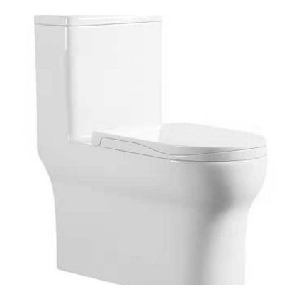 Picture of Purpose Single Piece Commode-300mm S-Trap