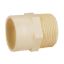 Picture of CPVC Male Adaptor Plastic Threaded (MAPT) 25mm