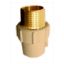 Picture of CPVC Male Adaptor Brass Threaded (MABT)Fixed 20mm