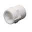 Picture of UPVC Female Adapter Plastic Threaded- FAPT (SCH-80) 1"