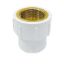 Picture of UPVC Reducing Female Adapter Brass Threated - rFABT (SCH-80) 1" X 3/4"