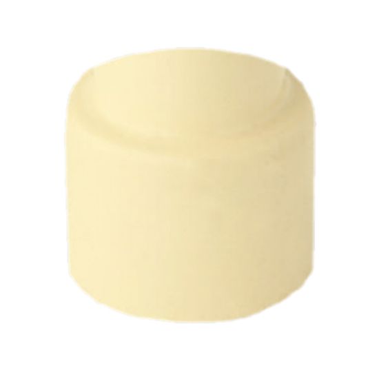 Picture of CPVC End Cap 3/4"