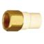 Picture of CPVC Female Adaptor Brass Threaded (Heavy) 1"