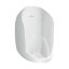 Picture of Flat Back Large Standard Urinal