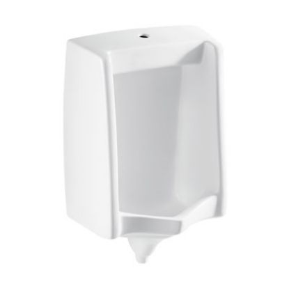 Picture of Olympus Neo Standard Urinal
