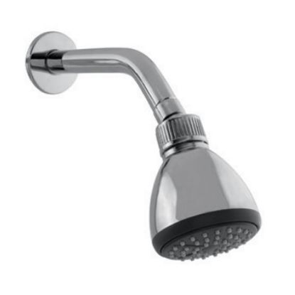 Picture of Single Flow Overhead Shower With Shower Arm