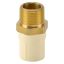 Picture of ITPF: CPVC Hexa Male Socket 15mm