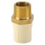 Picture of ITPF: CPVC Hexa Male Socket 20mm