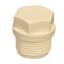 Picture of ITPF: CPVC End Plug 25mm