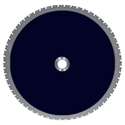 Picture of DG: Tip Saw Blade 12"X60T