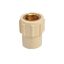 Picture of CPVC Female Brass Adaptor: 15 mm