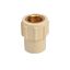 Picture of CPVC Female Brass Adaptor: 20 mm