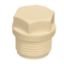 Picture of CPVC Plug: 25 mm