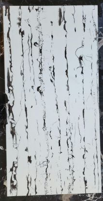 Picture of VARMORA: Bathroom Wall Glosy Tile Dragon White : 2'X2'