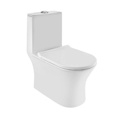 Picture of CONTINENTAL Rimless Single Piece WC