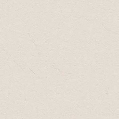 Picture of Kajaria: GVT Matt Desert Blanco 9mm: 600X600mm