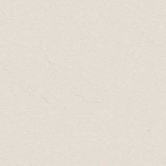 Picture of Kajaria: GVT Matt Desert Blanco 9mm: 600X600mm