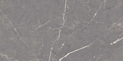Picture of Kajaria: GVT Polished Hd Altroz Gris 9mm: 600X1200mm