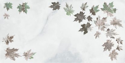 Picture of Kajaria: Creamics Impressions Sugar Maple Leaves Décor: 30x60cm